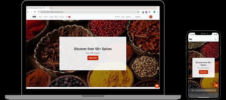 Custom Shopify Theme